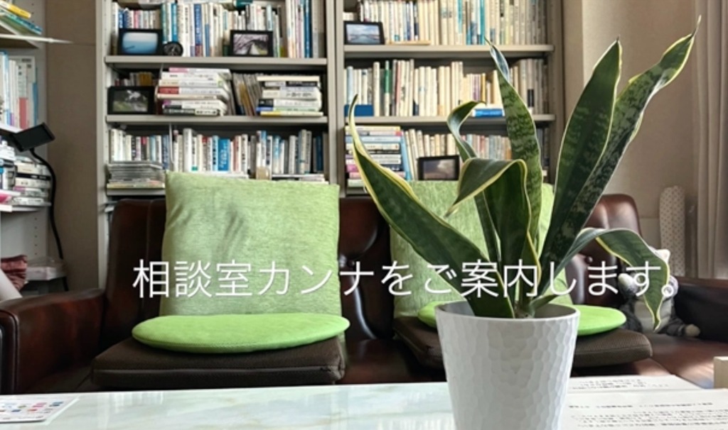 相談室カンナを1分動画でご紹介します。